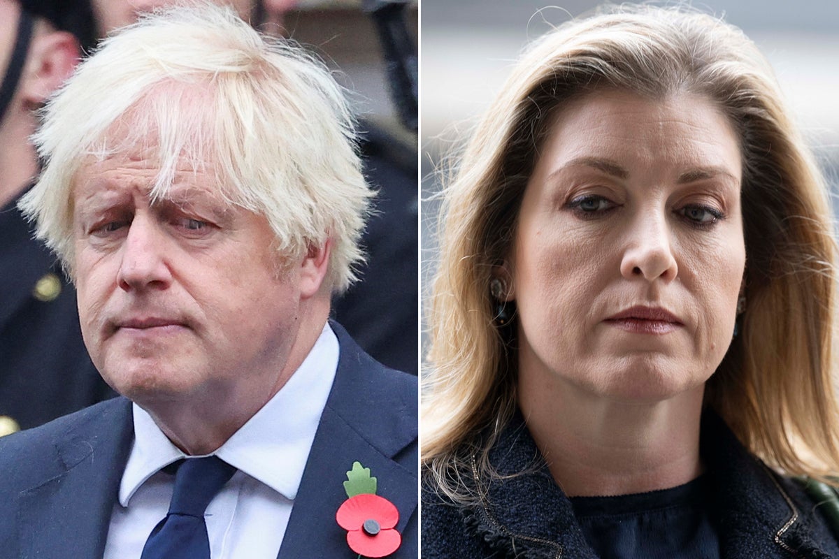 Penny Mordaunt says messages from Boris Johnson disappeared from her phone
